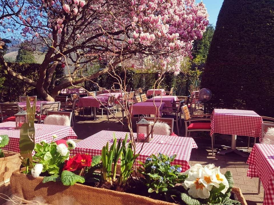 Hotel Restaurant Aux Sapins タン エクステリア 写真