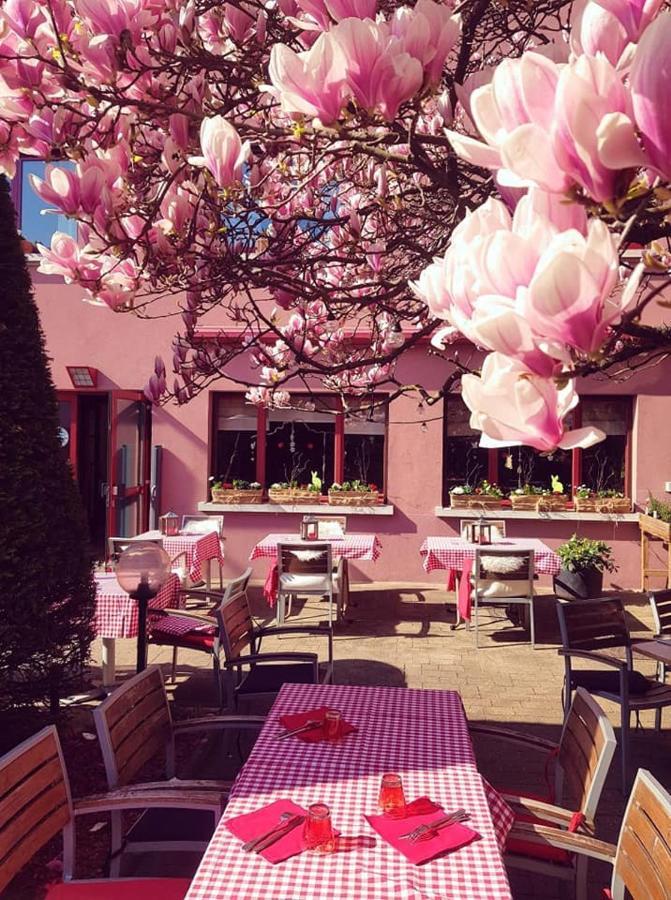 Hotel Restaurant Aux Sapins タン エクステリア 写真
