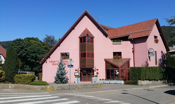 Hotel Restaurant Aux Sapins タン エクステリア 写真